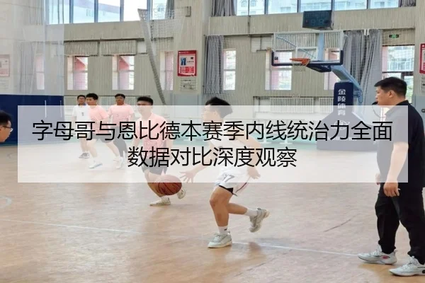 字母哥与恩比德本赛季内线统治力全面数据对比深度观察
